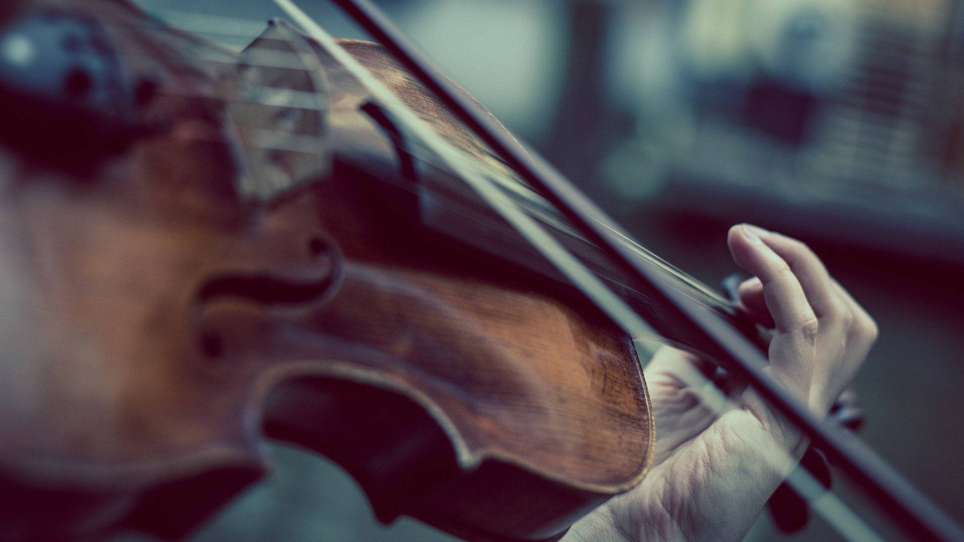 Violinist